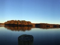 burke lake fall (7)