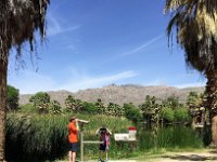 Tucson Agua Caliente (5)