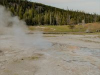 yellowstone (36)