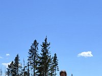 yellowstone (6)