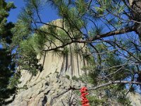 Devils Tower (9)