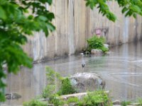 occoquan with mom (5)